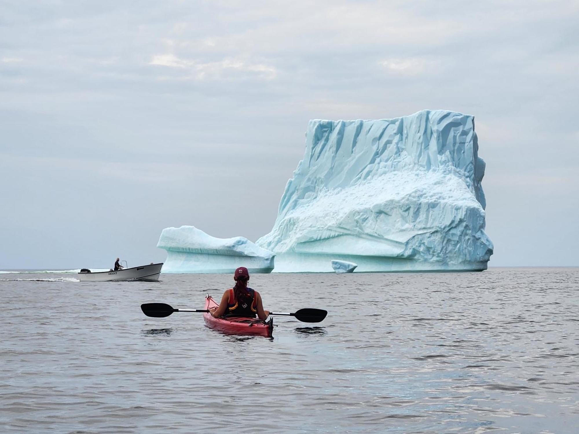 Seaclusion Twillingate Villa Exteriör bild