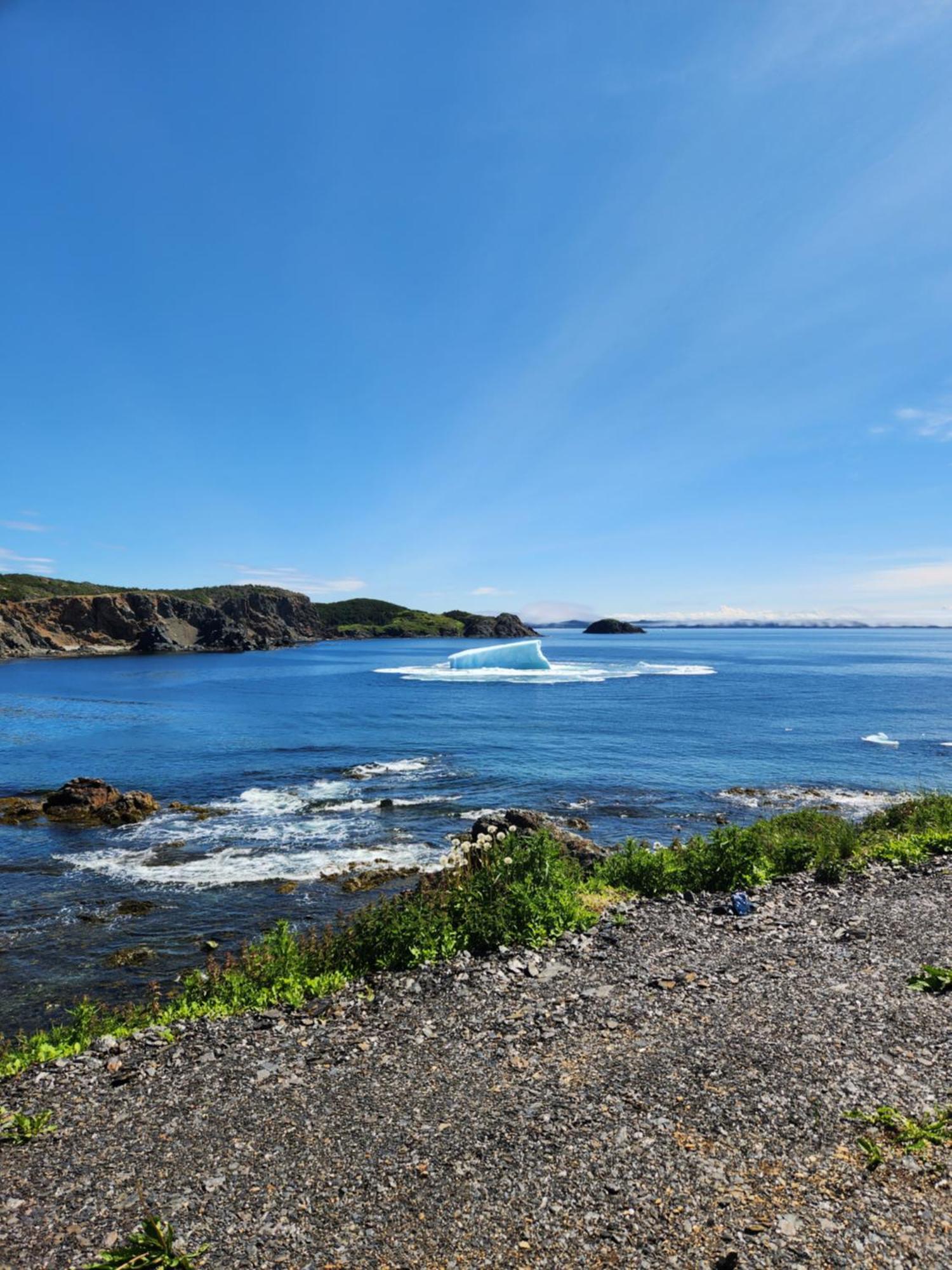Seaclusion Twillingate Villa Exteriör bild